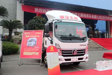 翼狮&nbsp;电动载货车外观图片