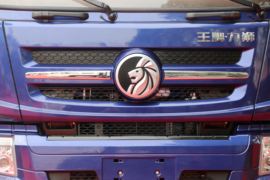 力狮&nbsp;自卸车外观                                                图片