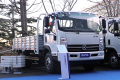 凯马 凯捷M6 4.16米单排栏板轻卡(国六)