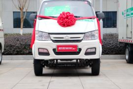 新豹MINI&nbsp;电动载货车外观图片