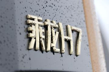 �������� ����H7�ؿ� 2019�� 600���� 6X4ǣ����(����)(LZ4252H7DC1)ͼƬ