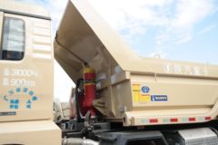 陕汽重卡 德龙新M3000 城建标载版 336马力 8X4 5.8米自卸车(中集牌)(SX3310MB266J)