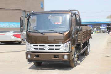 福田 时代H2 115马力 4X2 4.15米自卸车(BJ3043D9JBA-FD)
