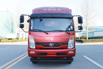 风驰&nbsp;载货车外观                                                图片