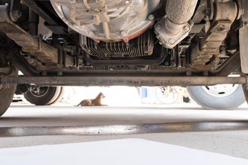 �ִ����ó� ʢͼH3 129���� 4.12�׵�����ʽ�Ῠ(CHM5042XXYGDC33V)ͼƬ