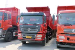 陕汽商用车 轩德X6 复合版 270马力 8X4 6.8米自卸车(SX3315GP5) 陕汽商用车 轩德X6 复合版 270马力 8X4 6.8米自卸车(SX3315GP5)