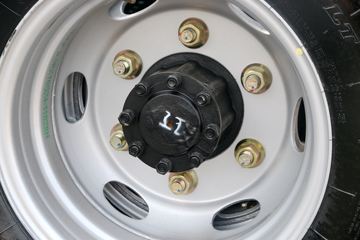 �Ĵ��ִ� ʢͼ ����� 116���� 4.12������ʽ�ῨͼƬ