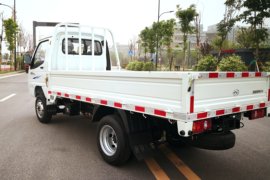 赛菱&nbsp;载货车外观                                                图片