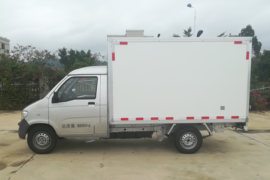 延龙&nbsp;电动载货车外观图片