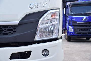  L2 115 4.165׵ʽῨ(LZ5040XXYL2AB)ͼƬ