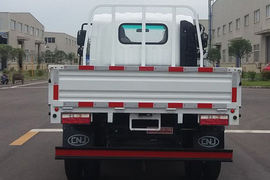 瑞吉&nbsp;电动载货车外观图片