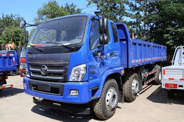 福田 瑞沃E3 129马力 3.8米自卸车(法士特)(BJ3143DJPEA-FB)