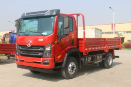 祥龙&nbsp;载货车外观                                                图片