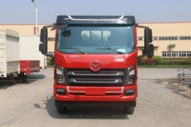 祥龙&nbsp;载货车外观                                                图片