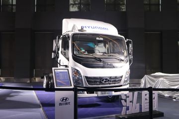 泓图300&nbsp;载货车外观                                                图片