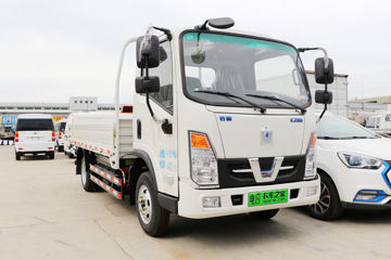 远程 E200 经济版 4.5T 4.1米单排纯电动栏板轻卡(DNC1047BEV01)82.4kWh