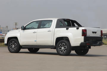 ���� ��EV T500 2019�� ���� ˫�Ŵ��綯Ƥ��LXͼƬ