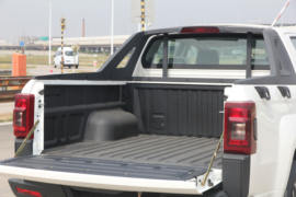 域虎EV&nbsp;皮卡上装                                                图片