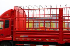 东风商用车 天锦中卡 160马力 4X2 6.2米仓栅式载货车(DFH5160CCYBX1JV) 东风商用车 天锦中卡 160马力 4X2 6.2米仓栅式载货车(DFH5160CCYBX1JV)