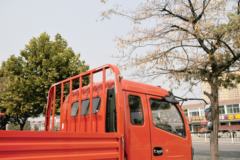 东风 多利卡D8 160马力 4X2 6.2米排半栏板载货车(EQ1160L8BDF)
