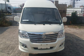 海狮 VAN/轻客外观图片