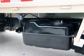 瑞帅F系&nbsp;载货车底盘                                                图片