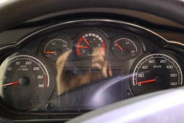 һ����� J6L 4X2����������(������)(CHD5121TCAJFBEV)ͼƬ