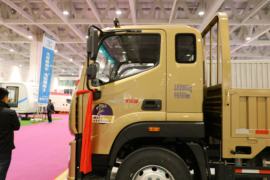 奥铃大黄蜂&nbsp;载货车外观                                                图片