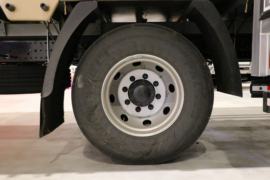 奥铃大黄蜂&nbsp;载货车底盘                                                图片