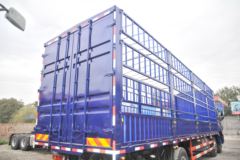 福田 欧曼ETX 5系重卡 245马力 6X2 8米仓栅式载货车(BJ5252CCY-AE)