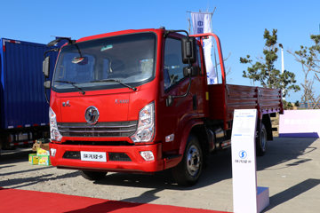 陕汽轻卡 德龙K3000 160马力 4.85米排半栏板轻卡(国六)(YTQ1091FJ381)