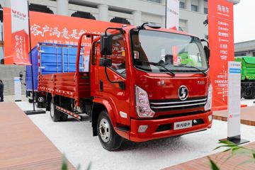 陕汽轻卡 德龙K3000 190马力 5.25米排半栏板轻卡(YTQ1120KK421)