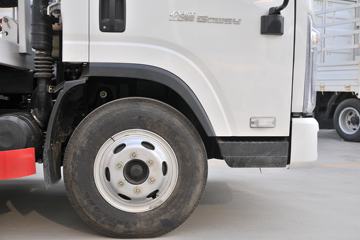 һ������ ��Ź�ʨ 120���� 4X2 ���ϳ�ͼƬ