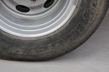 һ������ ��Ź�ʨ 120���� 4X2 ���ϳ�ͼƬ