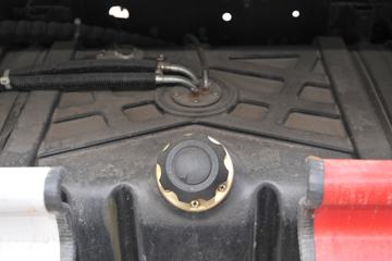 һ������ ��Ź�ʨ 120���� 4X2 ���ϳ�ͼƬ