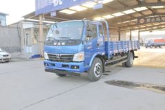 飞碟奥驰 D3系列 129马力 5.2米排半栏板轻卡(FD1141P63K5-1)