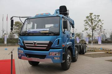 徐工 瑞龙 270马力 8X4 随吊车(NXG5310JSQ3)