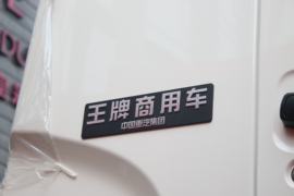 翼狮&nbsp;电动牵引车外观图片