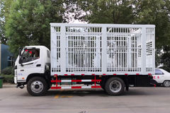 福田 欧马可3系 154马力 畜禽运输车(程力威牌)(CLW5121CCQ5)