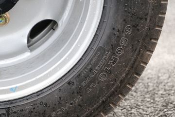 �ɵ���; DX 2.2L 130���� 3.95�׵�������΢��(����)ͼƬ