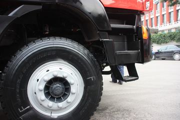 �������� ��ʨ 380���� 8X4 �������ϳ�(Ϋ��)(CQ5314GFLHTG466)ͼƬ