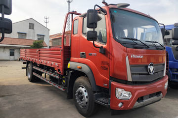 福田 瑞沃ES5 220马力 4X2 6.8米栏板载货车(1153后桥)(BJ1185VKPEK-FA)