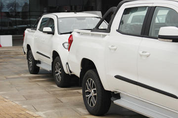 ���� ����P16 ������ 3.5T���� ˫��Ƥ��(����)ͼƬ