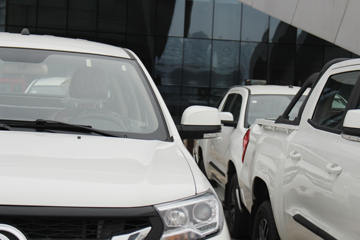 ���� ����P16 ������ 3.5T���� ˫��Ƥ��(����)ͼƬ