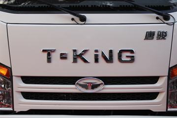 �ƿ�ŷ�� T1ϵ�� 115���� 3.7�׵��������Ῠ(����)ͼƬ