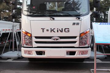 �ƿ�ŷ�� T1ϵ�� 115���� 3.7�׵��������Ῠ(����)ͼƬ