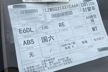 ���� ���V 2019�� ������ 99���� ���� 1.5L��ʽ���䳵(����)ͼƬ