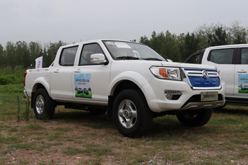 ֣ղ EV 2019 ˫Ŵ綯Ƥ62.7kWh ͼƬ