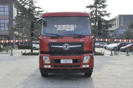 东风畅行&nbsp;载货车外观                                                图片