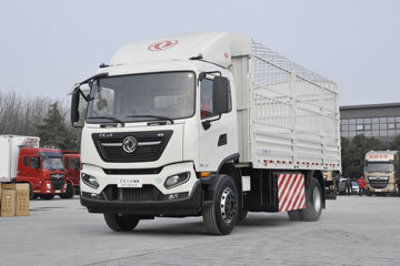 ½ KRȼ 220 4X2 6.75LNGդʽػ(DFV5182CCYGP6N) ͼƬ